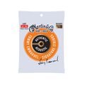 Authentic Acoustic Flexible Core Guitar Strings Phosphor Bronze image number 1